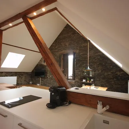 Daire Moselloft Zeltingen-Rachtig