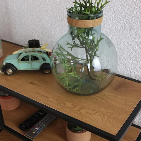 Moselloft * Zeltingen-Rachtig