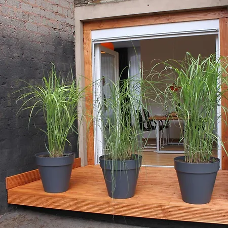 Daire Moselloft Zeltingen-Rachtig