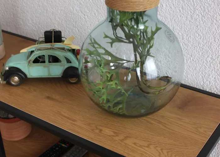 Moselloft * Zeltingen-Rachtig