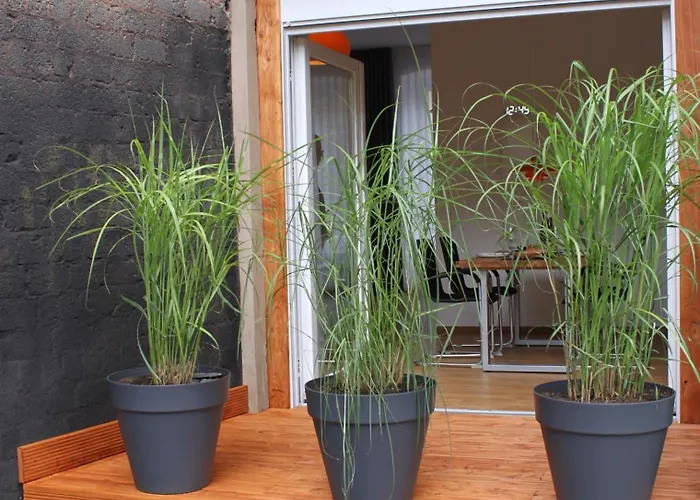 Apartamento Moselloft Zeltingen-Rachtig